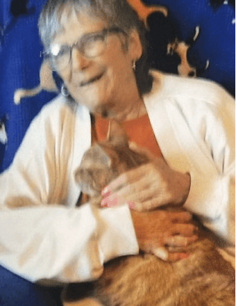 Cheryl "Sue" (Logan) Johnson Obituary
